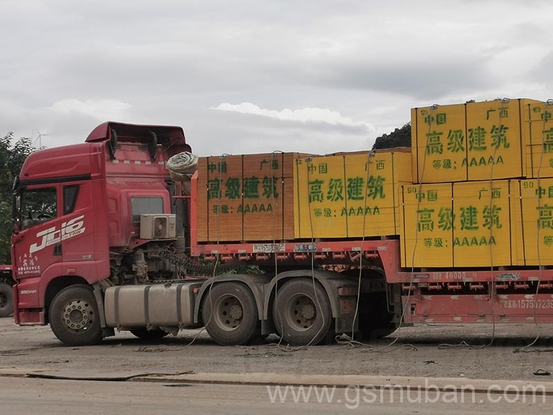 建筑模板松木好還是桉木好?怎么選擇?